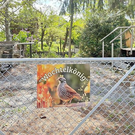 Wachtelkoenig Villa Luebbenau Luaran gambar